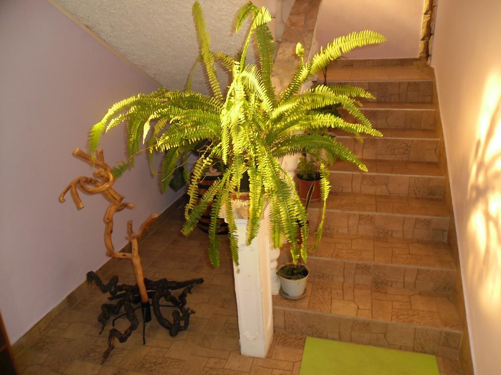 Appartement Apartmens Zara à Šibenik Chambre photo